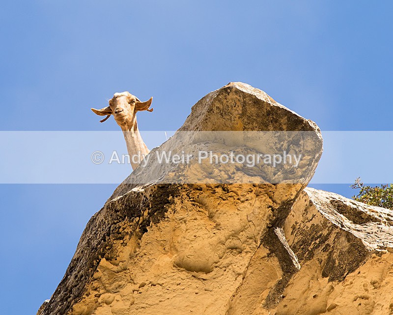 20150612-8E0A9587 - Abroad