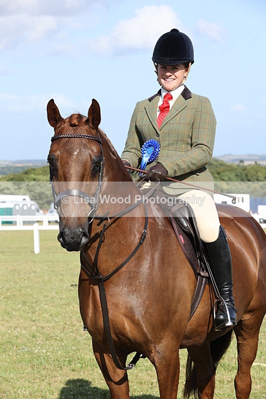 JPP_3050 - Class 20: Working Hunter 70cm