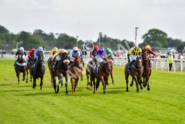 170523-Race 5-Dark Thirty-8869 - Race 5 4.10pm Conundrum HR Consulting Handicap