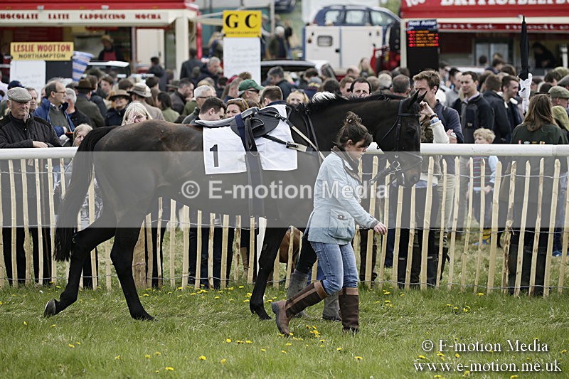 PtP 170417 217 - Old Berks Point-to-Point Lockinge 17/04/17