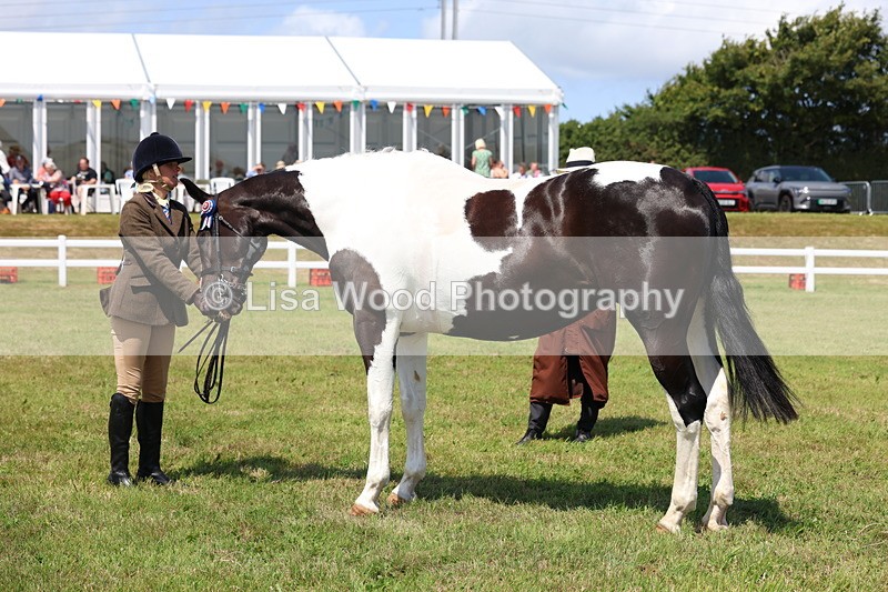 3E7A1210 - Class 8: Open Riding Horse/Hack