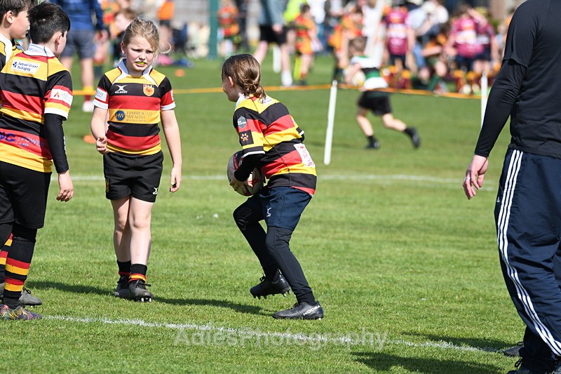  - Selby Rugby Festival 2025