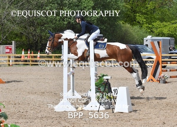 BPP_5636 - CLASS 24 SUN Senior BritiNovice/ 90cm Open