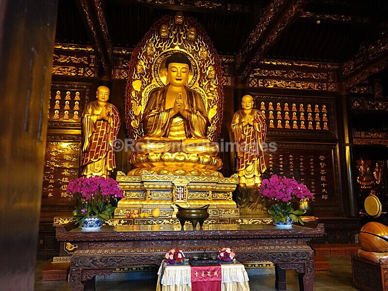 CHINA__0958 - China 2019