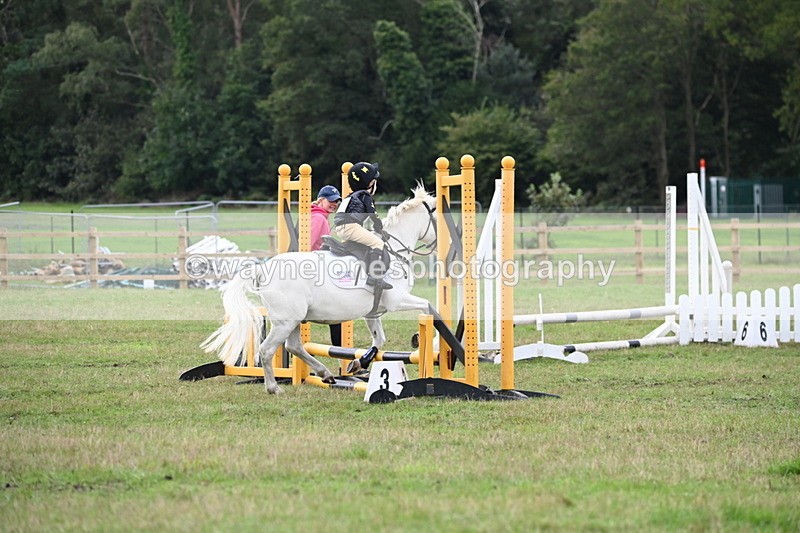 WJ6_0133 - 40cm Time 10:00 to 10:28