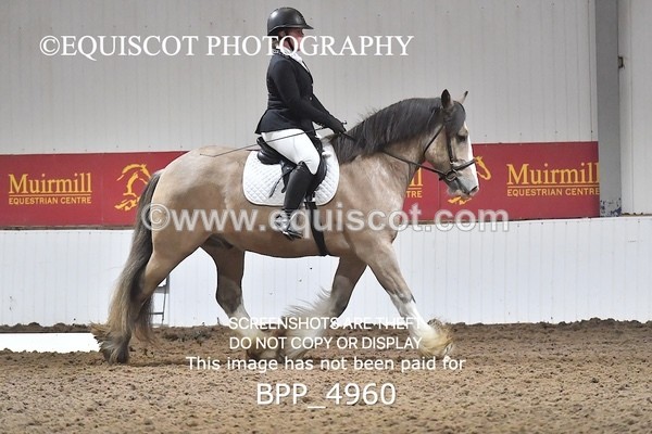 BPP_4960 - INTRO TEST 3