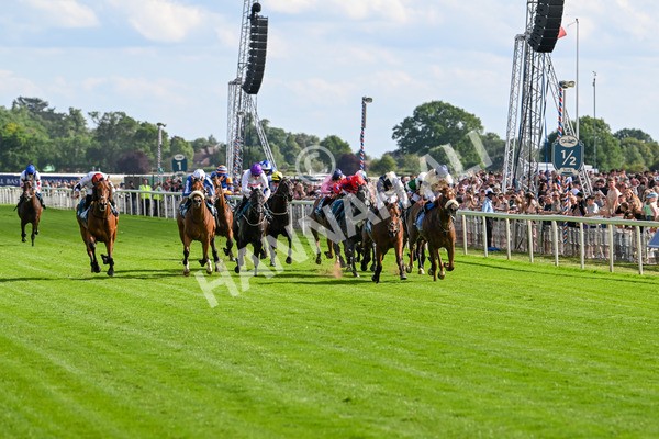 280625-Race 6-Dream Out Loud-0914 - Race 6 4.50pm Al Basti Equiworld Dubai Sprint Handicap