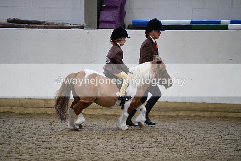 WJ5_6759 - Class 10 Childs Pony
