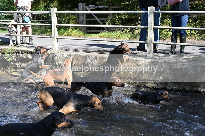 WJ7_6016 - Hounds Water Crossing