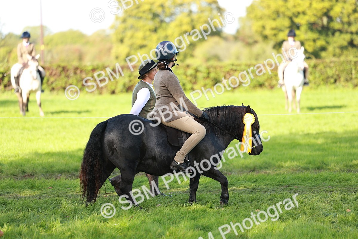 SBM_37107 - S11 - Best Ridden Horse & Pony