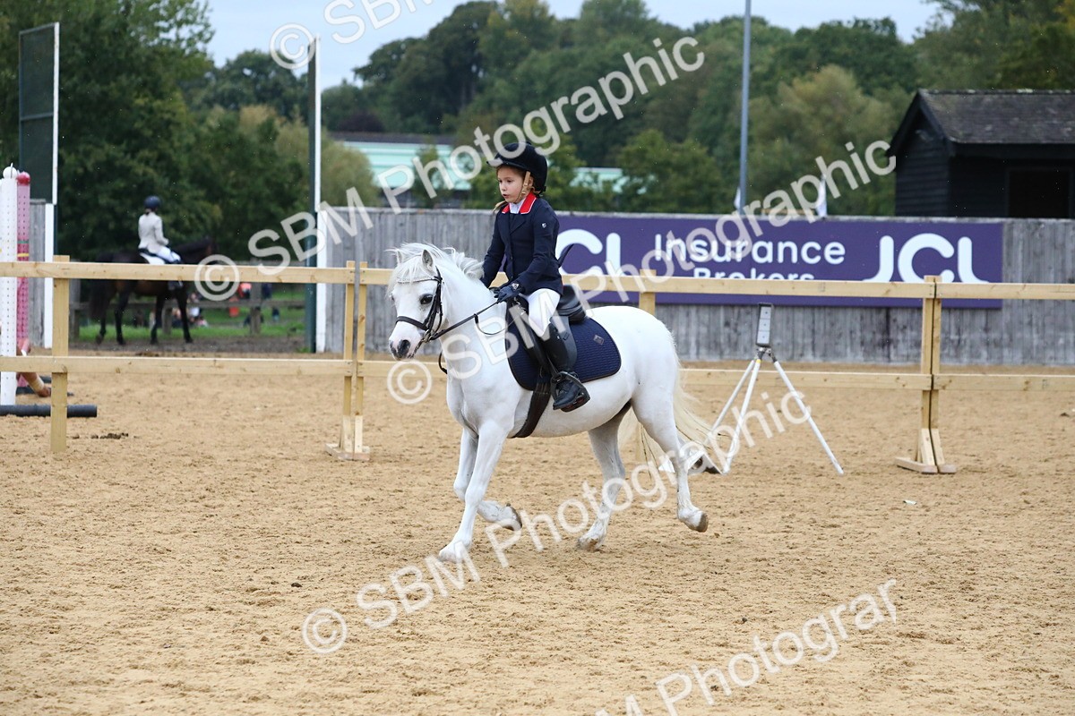 SBM_68379 - J3b - Mini Tour Junior Pony 40cm Championship