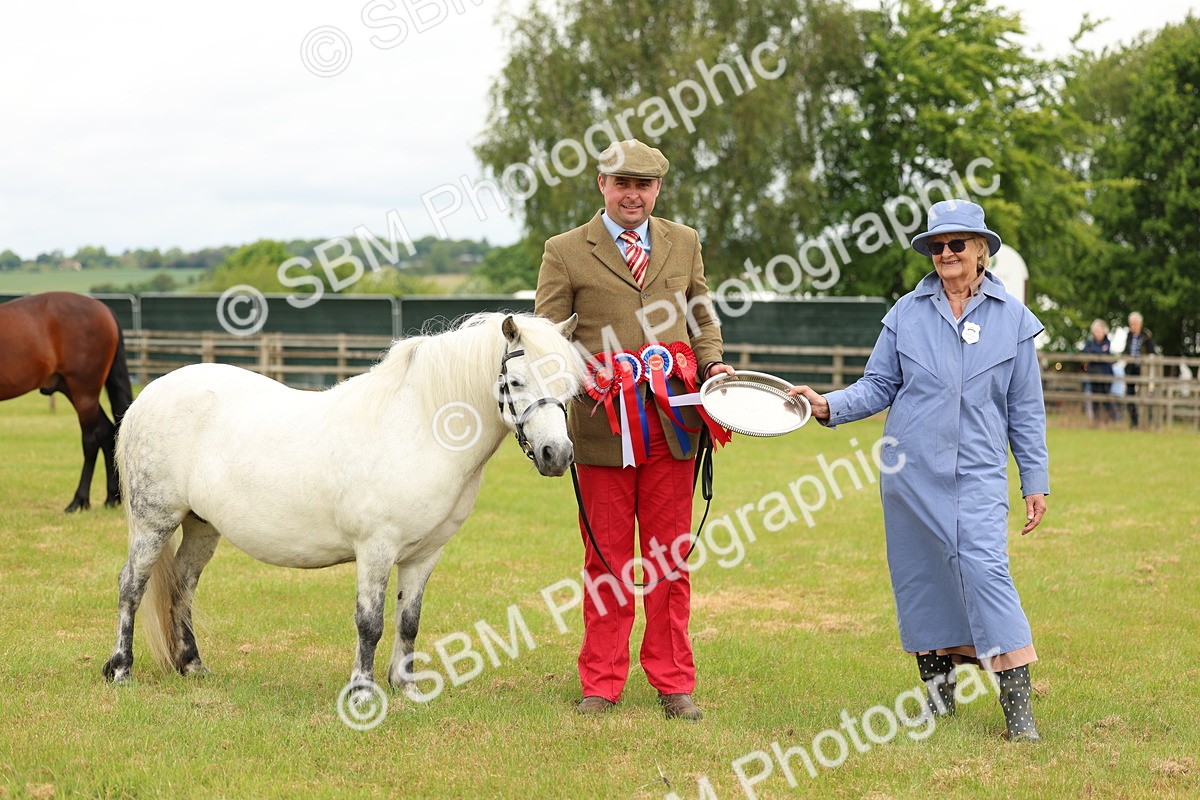 SBM_03594 - Class 58-67 - M&M Non Welsh Pony In hand