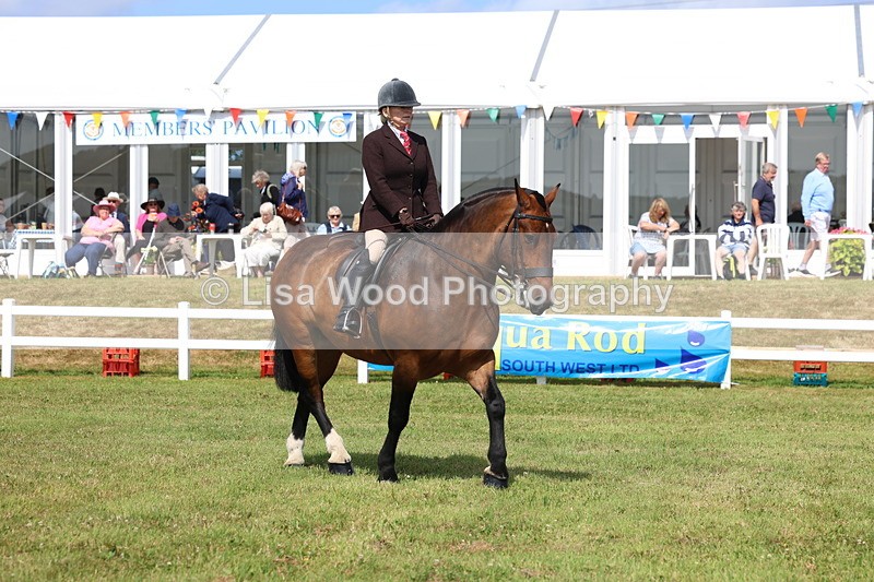 3E7A9863 - Class 5: Rising Star Lightweight/Heavyweight Cobs