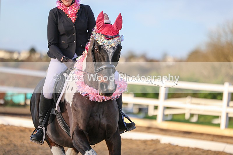 3E7A4803 - Class 5: Novice