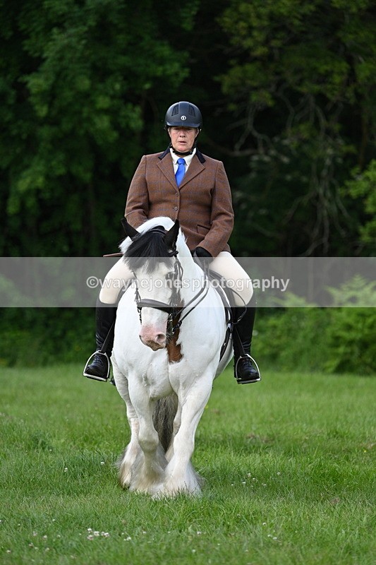 WJ7_1026 - Class 11 Condition & Turnout