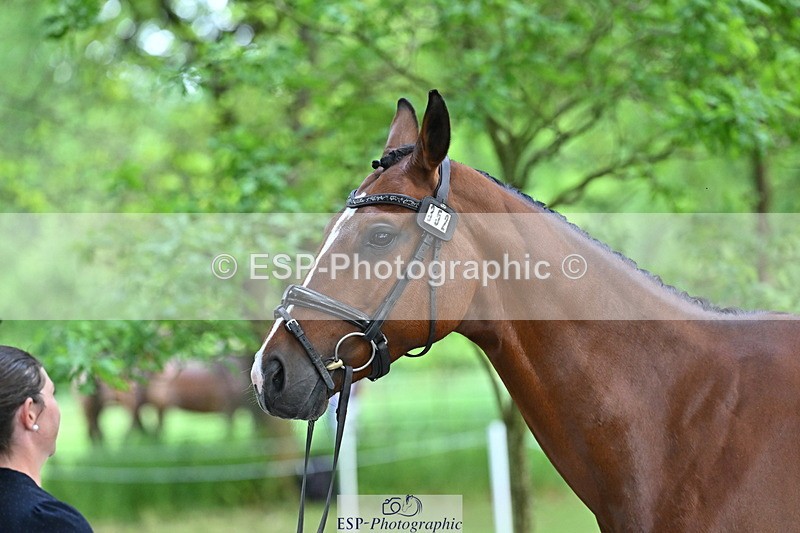 250521A-151002-00309 - B-352-Samantha.Lissington-MALIBU.TS