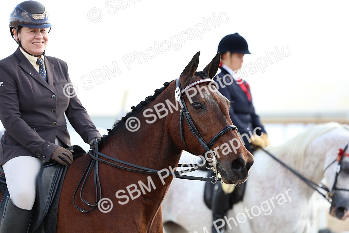 SBM_10867 - Class 305 - Ridden Foreign Breeds - Pure Bred