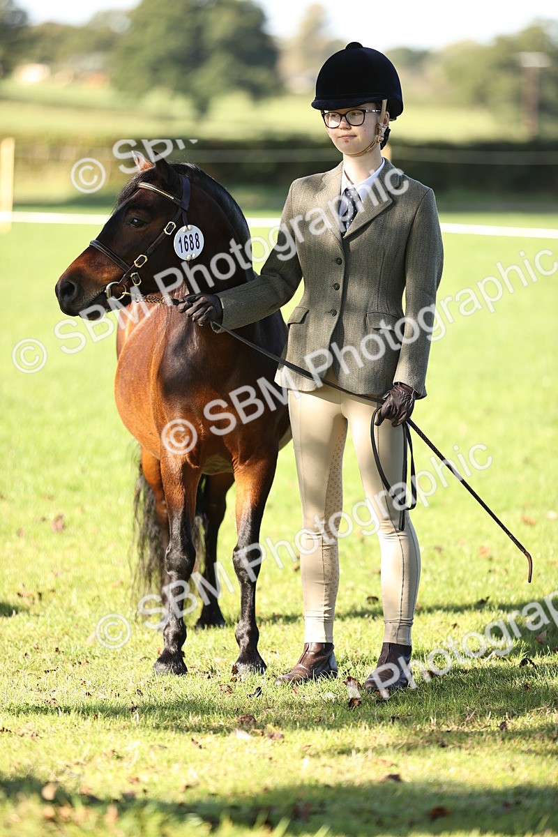 SBM_15824 - S1 - TSR in Hand Horse & Pony Showing