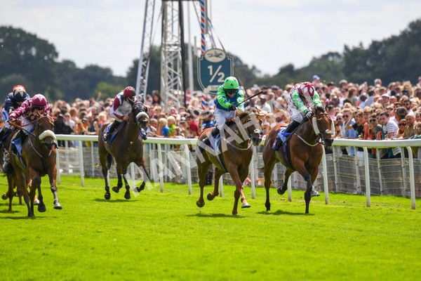 290723-Race 1-Soul Seeker-0263 - Race 1 2.05pm Sky Bet 'Jump Jockeys' Nunthorpe' Handicap