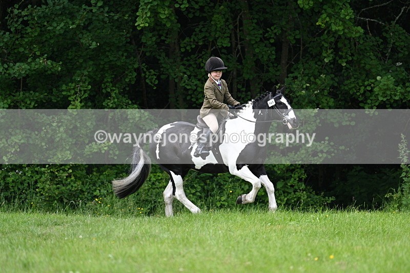WJ7_2011 - Class 12A Coloured Class