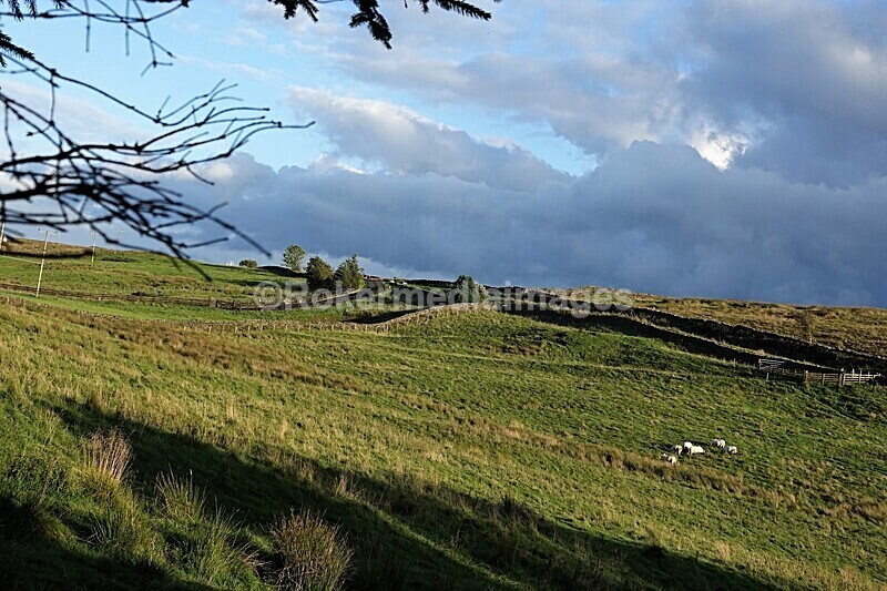 DSC07742 - SEPT 2020 STAYCATION