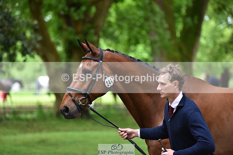 240522-170926-01426 - 241-CLASS_ROMANCE-Jack_Pinkney