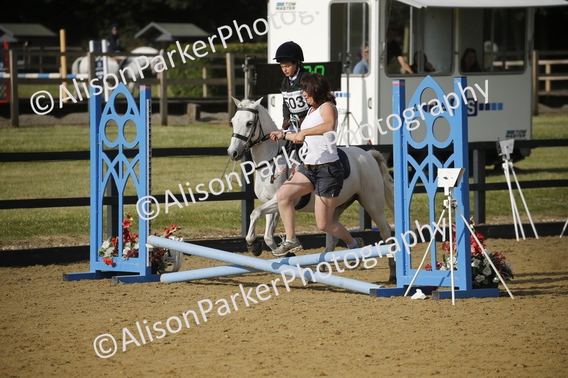 20250622-1171 - 40cm