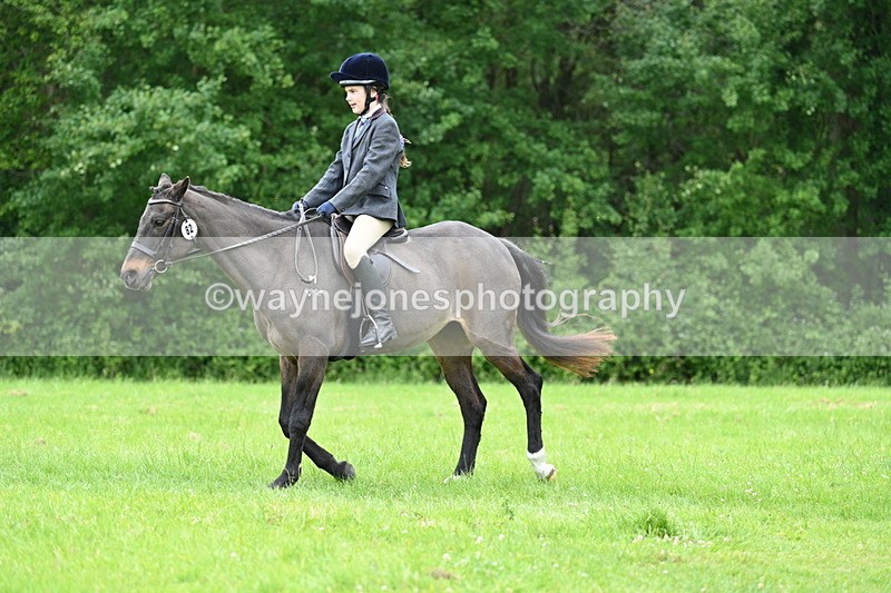WJ7_4493 - Class 14B Prettiest Mare
