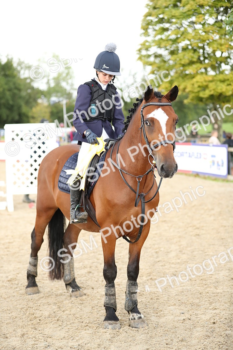 SBM_40509 - J21 - Junior Horse 60cm Championship