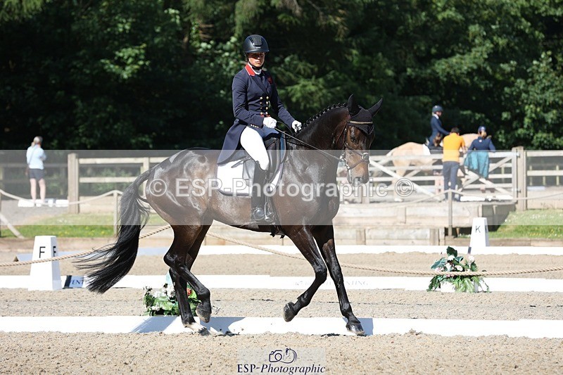 230526-093000-05084 - 355-JASON_KING-Izzy_Taylor-WEDTrotUp+DR