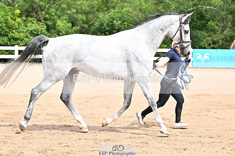 240718A-105236-00906 - Trot Up 11am to 12pm