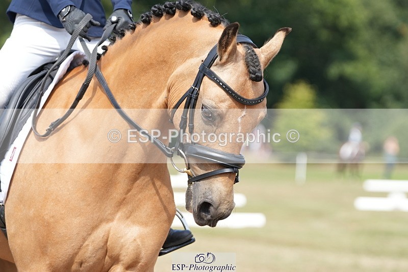 250823A-145701-32188 - PC70 Ride Off