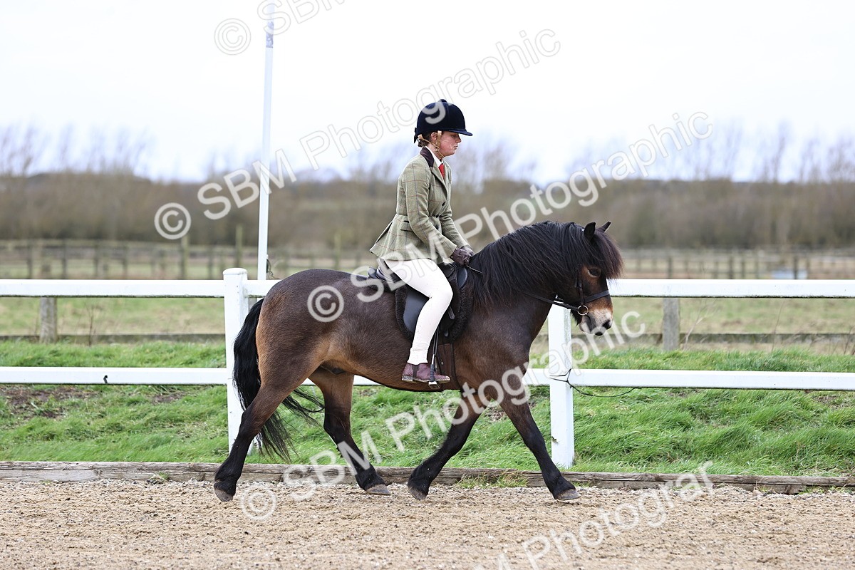 SBM_006739 - Class 29 - 30 - M&M Pure Novice Small-Large Breeds