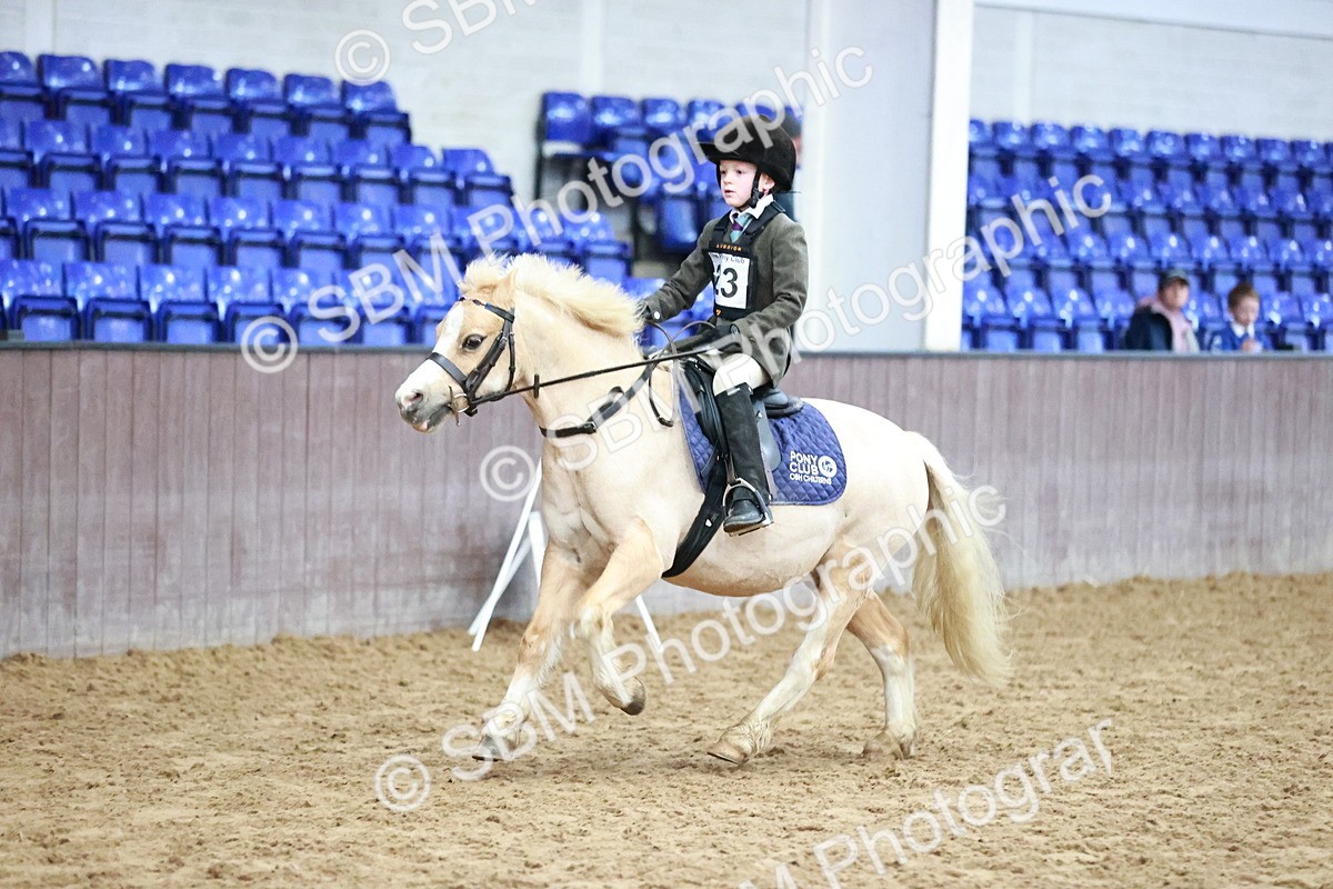 SBM_000393 - Class 2 - Show Jumping 50cm
