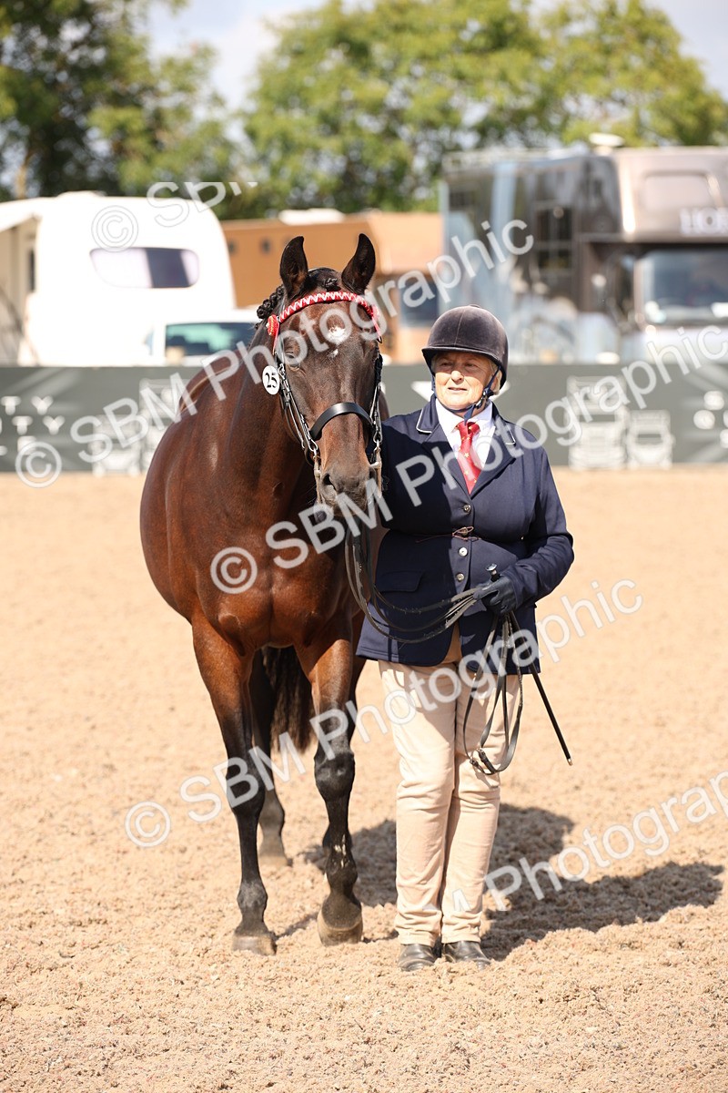 SBM_03041 - Class 17 Prettiest Mare IH or Ridden