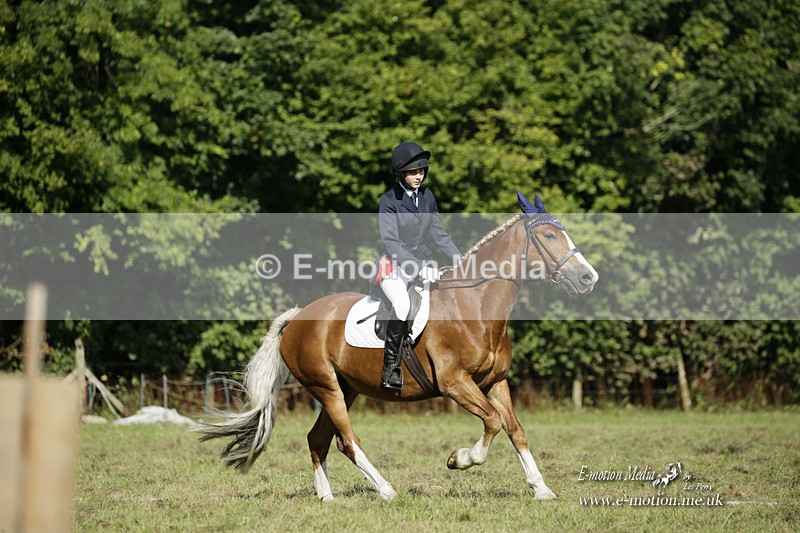 BVRC 120921 205 - Bourne Valley Riding Club UA Dressage & Show Jumping 12/09/21