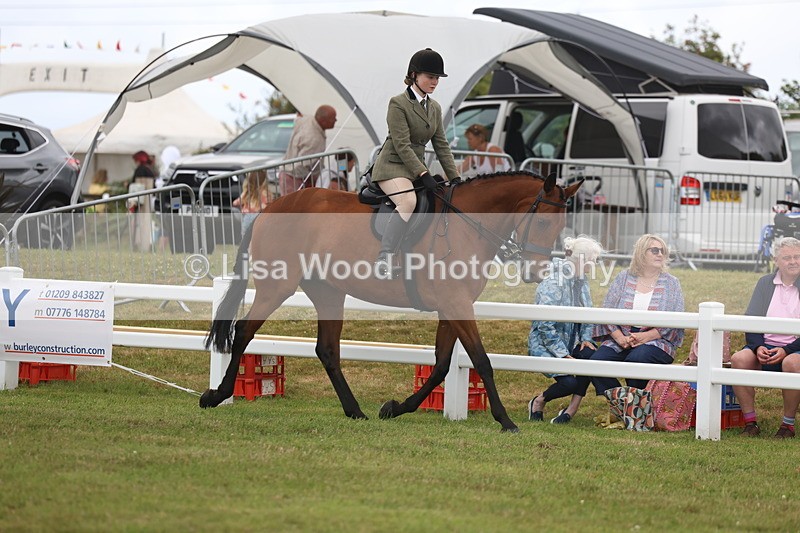 3E7A1389 - Class 9: Open Hunter