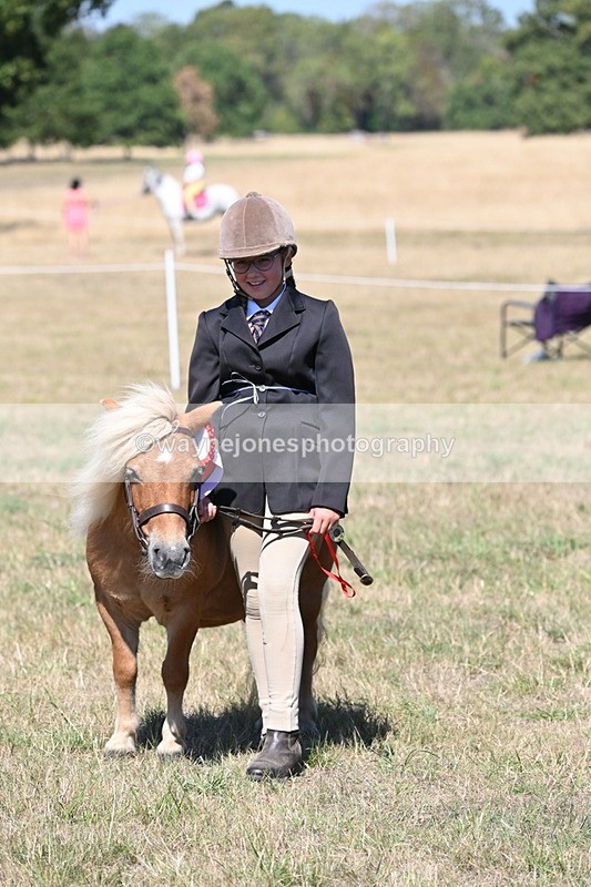 WJ6_8707 - Class 37b Best Loan Pony In-hand