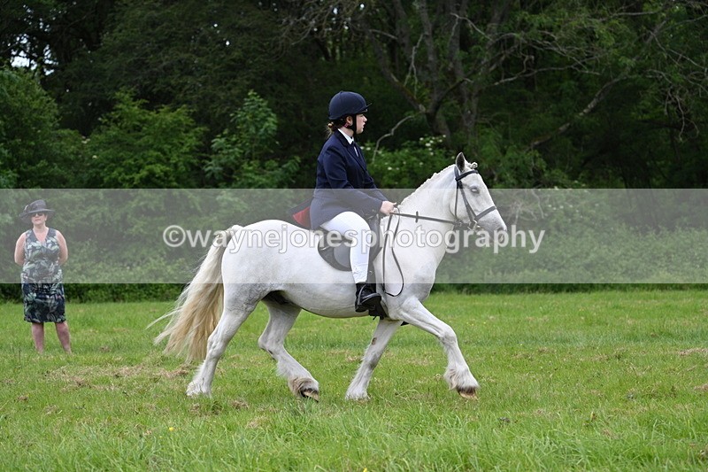 WJ7_2078 - Class 12A Coloured Class