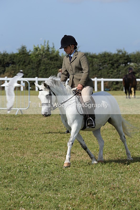 1X9A5739 - Class 40: NPS Welsh A & B