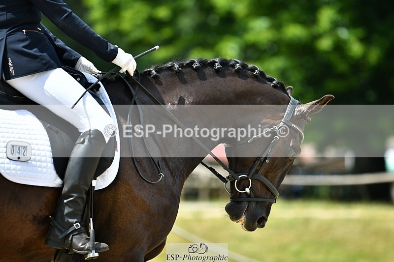 230623-121412-02186 - Cls 4 Novice 37Q Start to 12.35 break