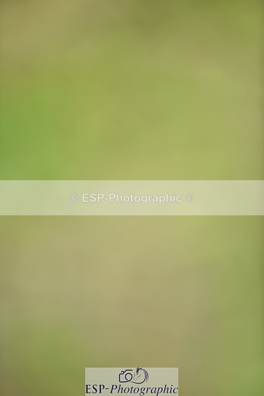 240523B-120242-02147 - 5 Year Old