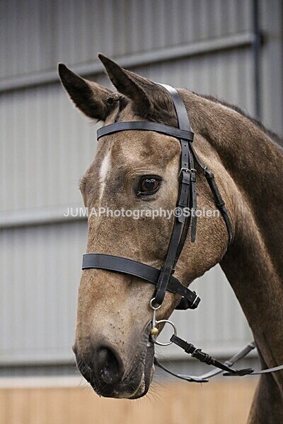 SIAL2697 - Sunday 14th Ridden