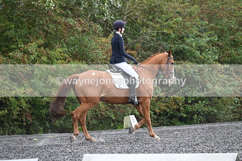 WJ7_6760 - Time 14:49 to 15:14