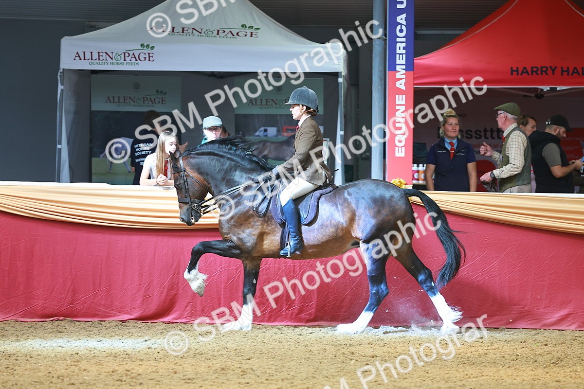 SBM_12594 - Class 103 - HOYS Veteran Qualifier - Ridden Pre Vet