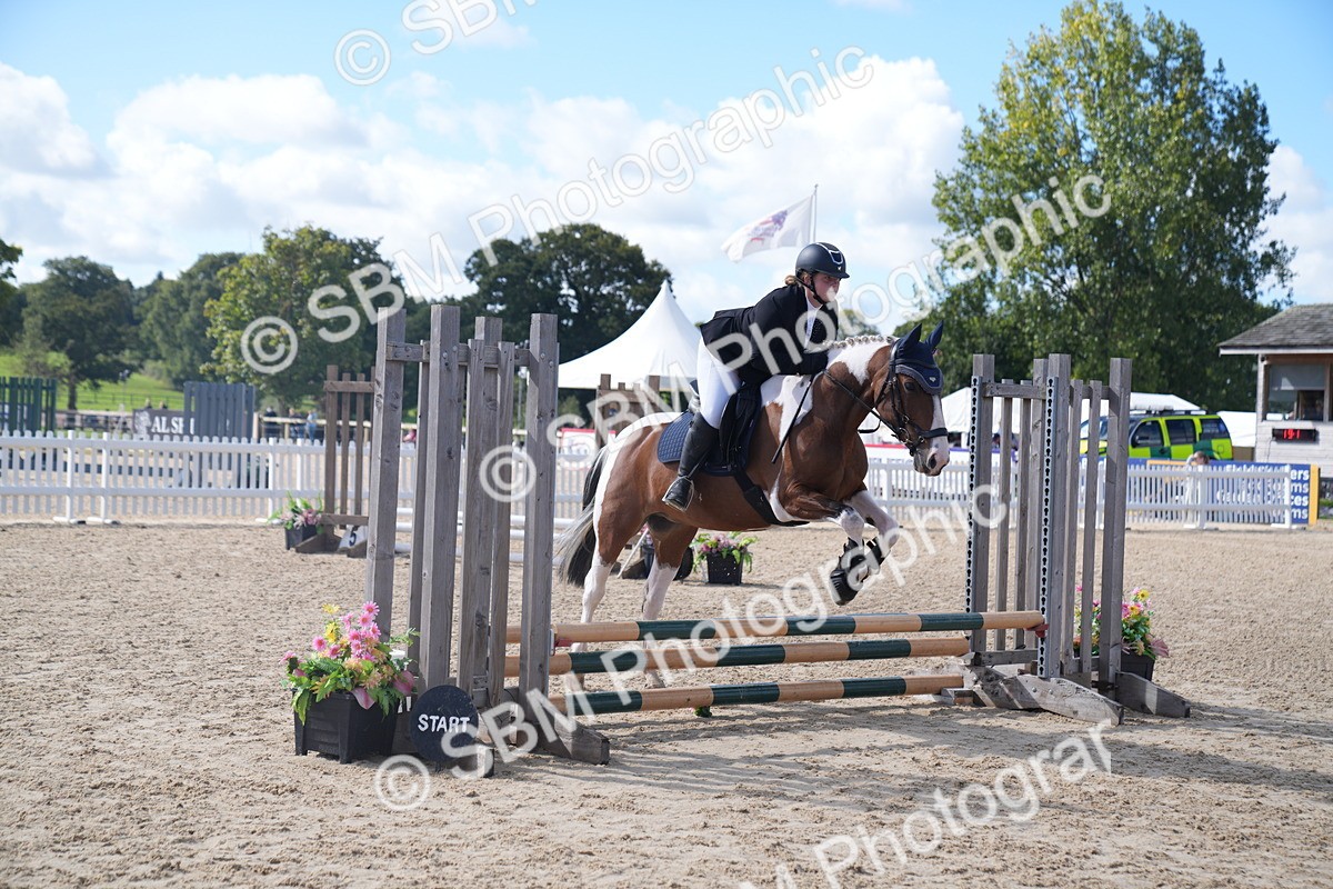 SBM_02527 - J54 Clear Round 45cm