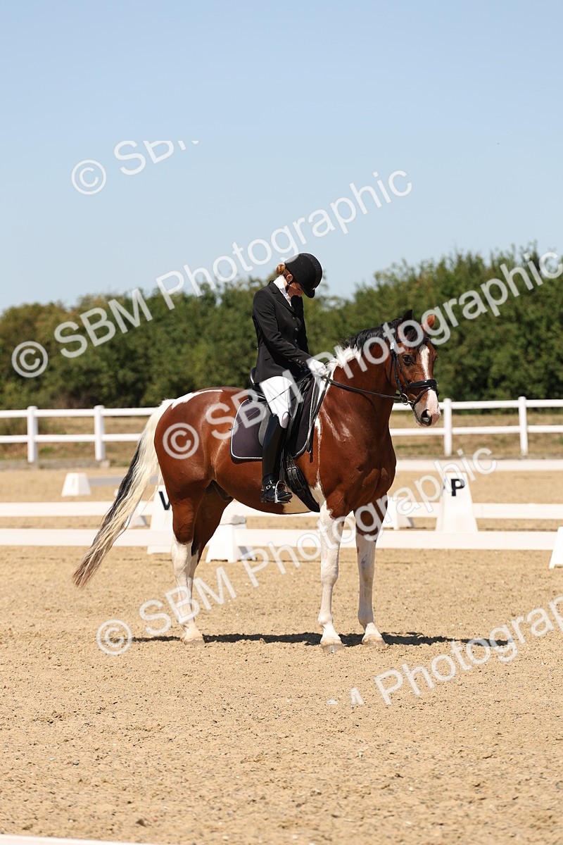 SBM_002270 - Elementary 4 Warm Up