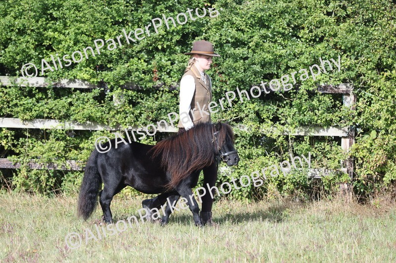 20250831-1301 - Class 21 - Inhand Open