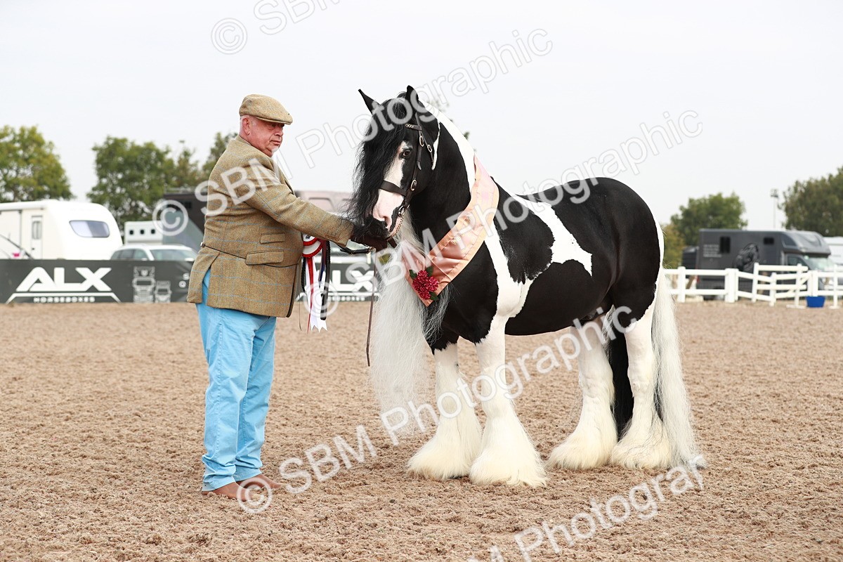 SBM_09591 - Class 201 Best Turned Out IH