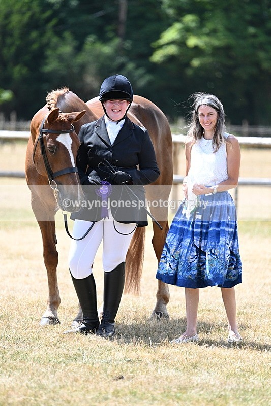 WJ7_2060 - Class 4a Prettiest Mare 14.2hh and over hand